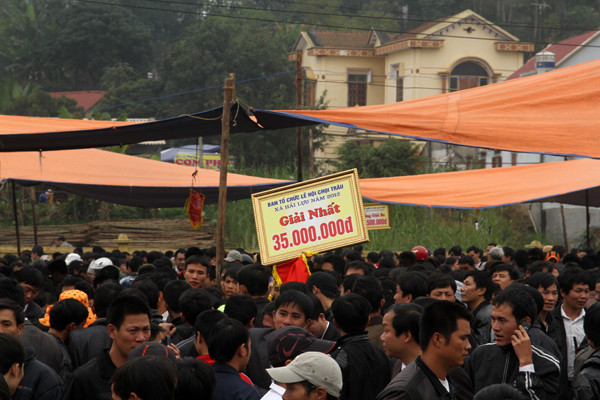 Khu vực bán thịt trâu chọi nhộn nhịp không khí mua - bán