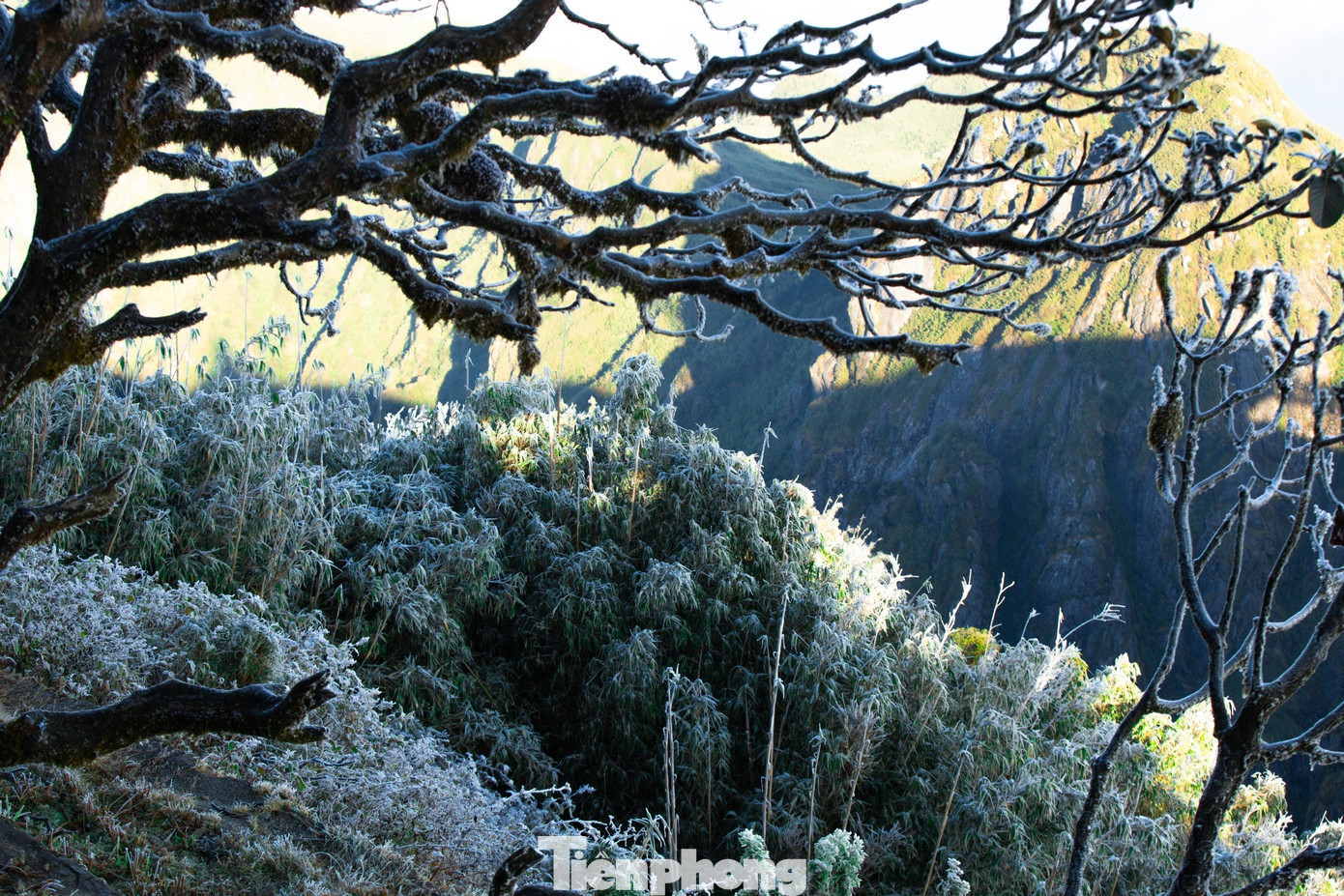 Cũng theo dự báo, trong ngày nhiệt độ tăng dần, tuy nhiên, Sa Pa chỉ duy trì nhiệt độ khoảng 10 độ C.