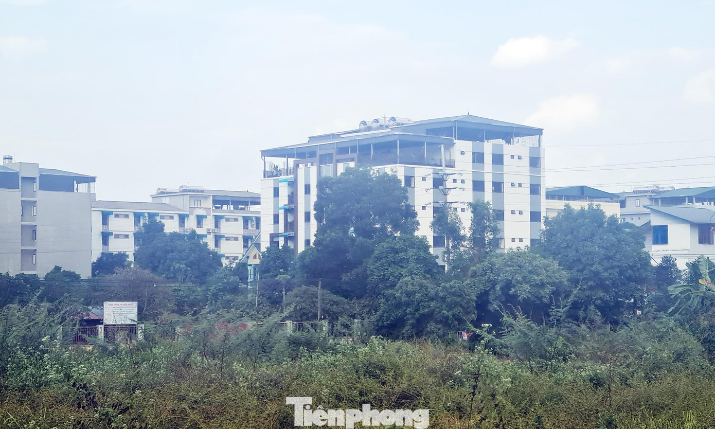 Hàng loạt khu chung cư mini, khu văn phòng, nhà trọ xây trái phép trên đất quy hoạch hành lang cây xanh.