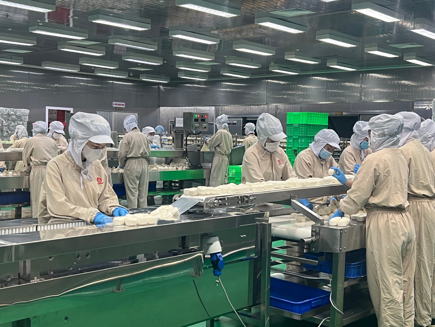 Sản xuất bánh bao tại nhà máy Thọ Phát