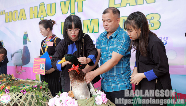 Các xã, thị trấn trên địa bàn huyện chuẩn bị cho vịt trước khi tham gia thi “Hoa hậu vịt”