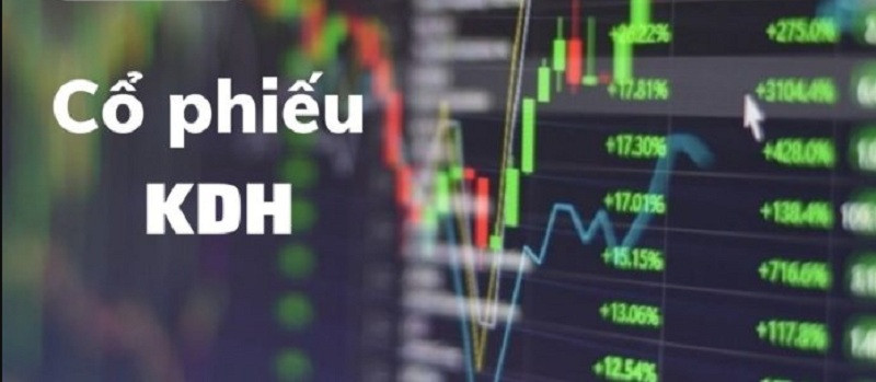 Khang Điền phát hành cổ phiếu vào năm 2010