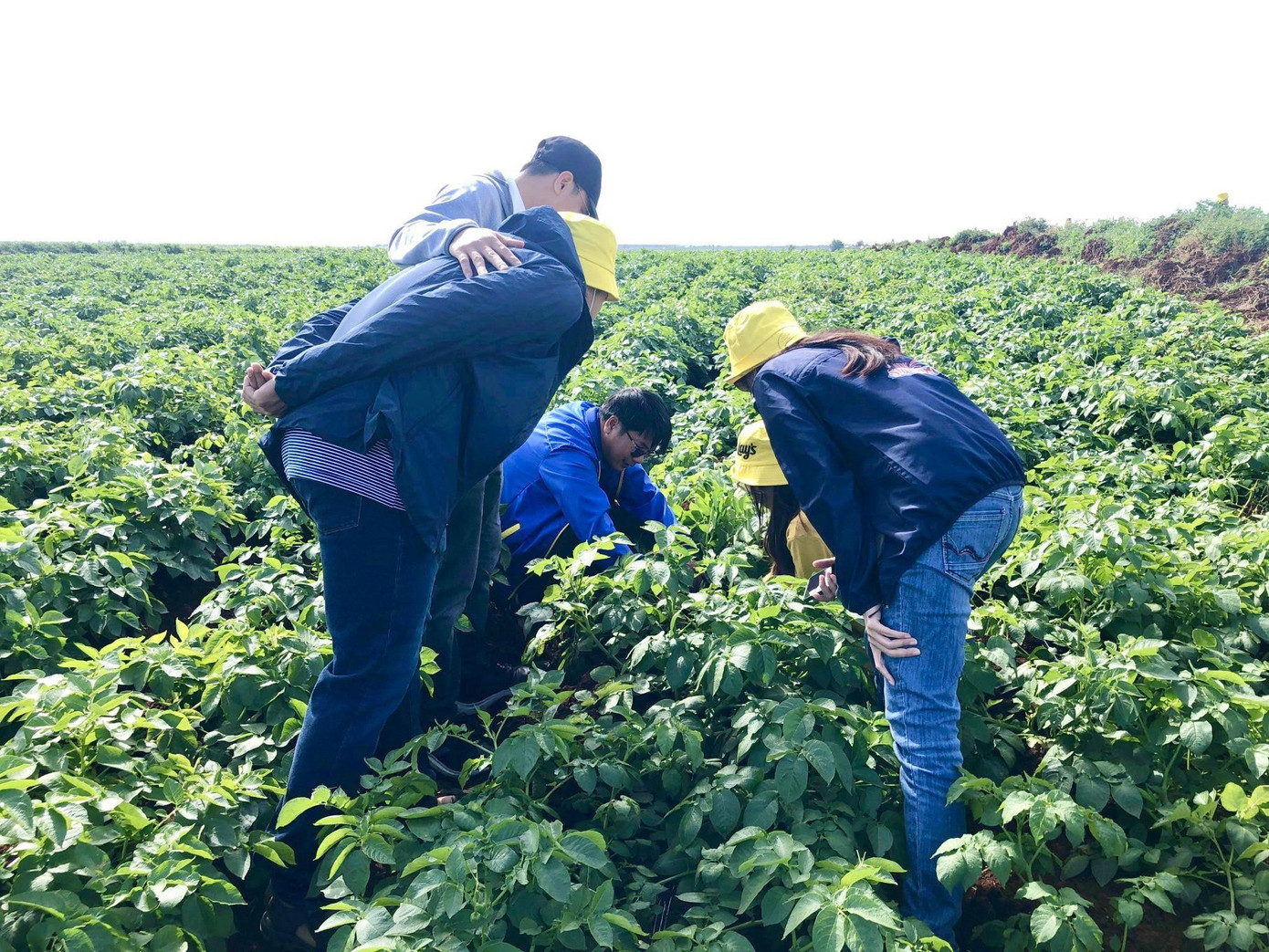 PepsiCo lựa chọn sản phẩm của Bayer vì muốn chú trọng giải pháp thân thiện với môi trường trong sản xuất nguyên liệu. PepsiCo lựa chọn sản phẩm của Bayer vì muốn chú trọng giải pháp thân thiện với môi trường trong sản xuất nguyên liệu.
