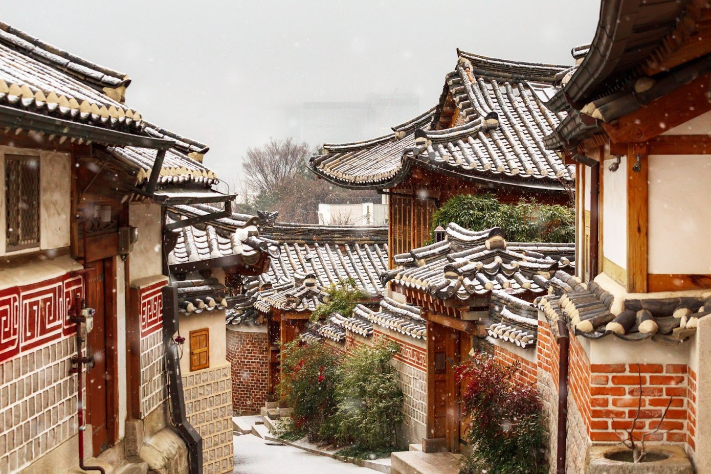 Những bông tuyết trắng phủ kín khắp không gian Hàn Quốc