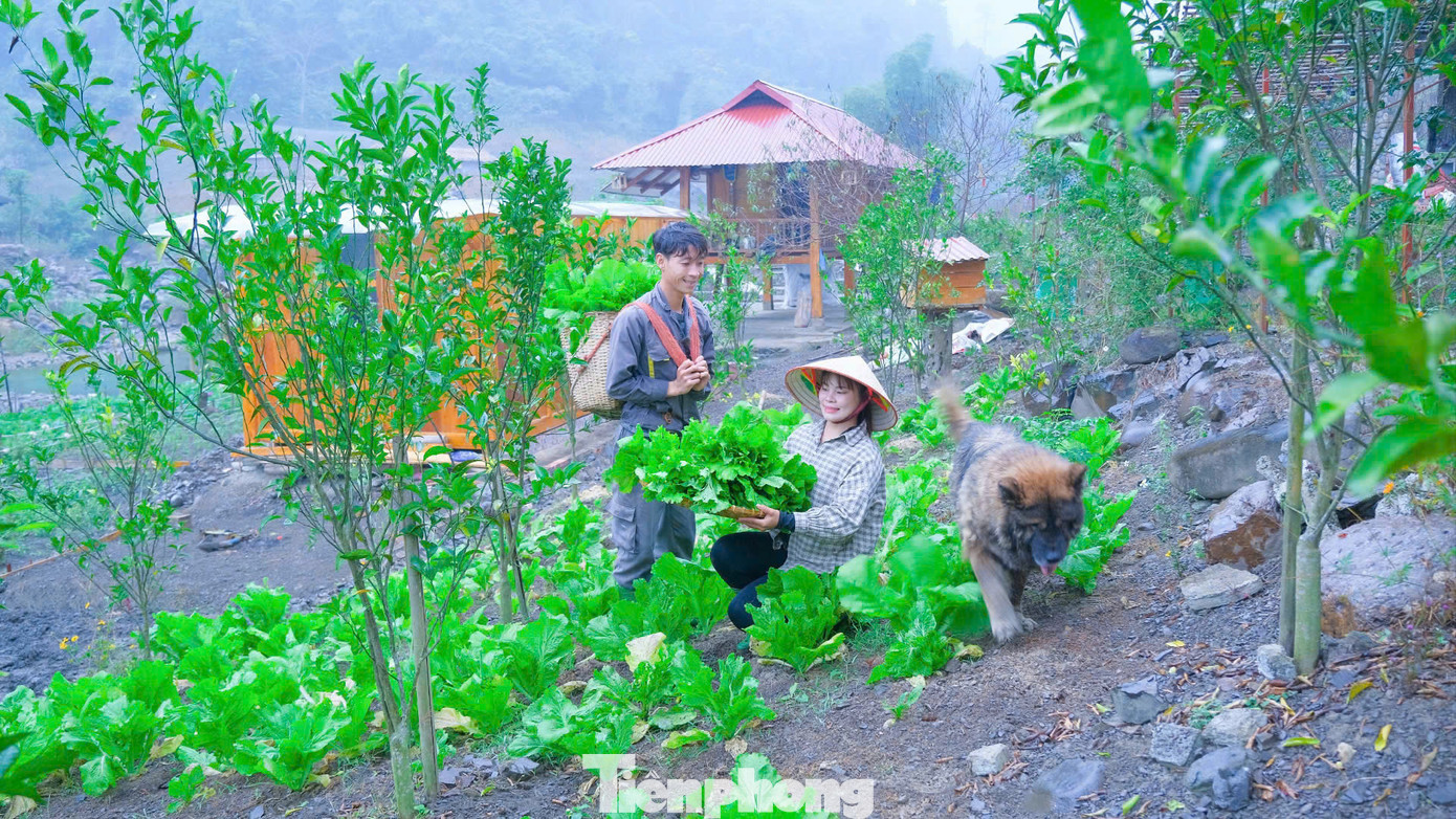 Năm 2022, Sáng cùng vợ rời khu công nghiệp ồn ào về quê khởi nghiệp từ chính các nông sản sạch ở quê hương. Sáng cho biết, ngay khi về quê, vợ chồng bắt tay ngay vào cải tạo vùng đất đồi rộng khoảng 1 héc ta của gia đình, đầu tư khu chuồng trại chăn nuôi gia súc, gia cầm, kết hợp đào ao thả cá và trồng cây ăn quả.