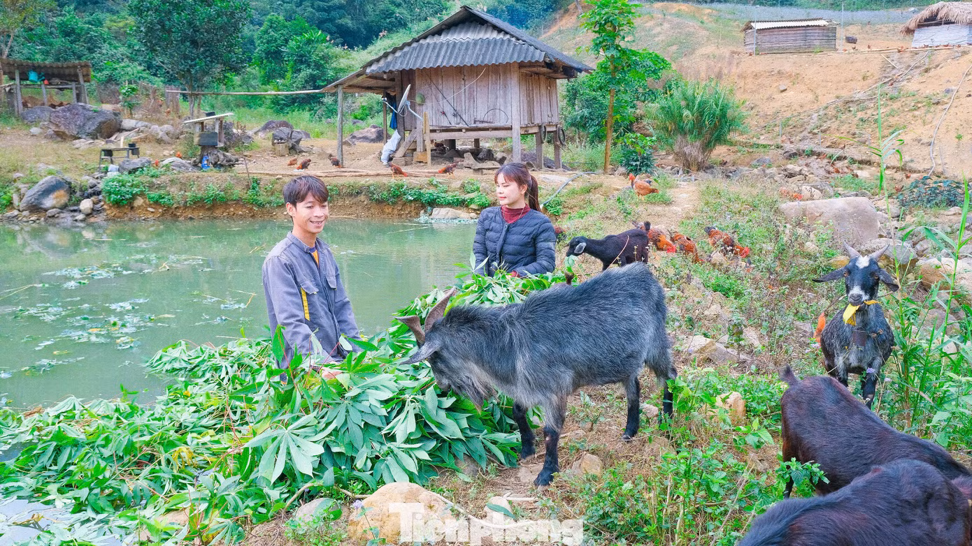 Năm 2022, Sáng cùng vợ rời khu công nghiệp ồn ào về quê khởi nghiệp từ chính các nông sản sạch ở quê hương. Sáng cho biết, ngay khi về quê, vợ chồng bắt tay ngay vào cải tạo vùng đất đồi rộng khoảng 1 héc ta của gia đình, đầu tư khu chuồng trại chăn nuôi gia súc, gia cầm, kết hợp đào ao thả cá và trồng cây ăn quả.