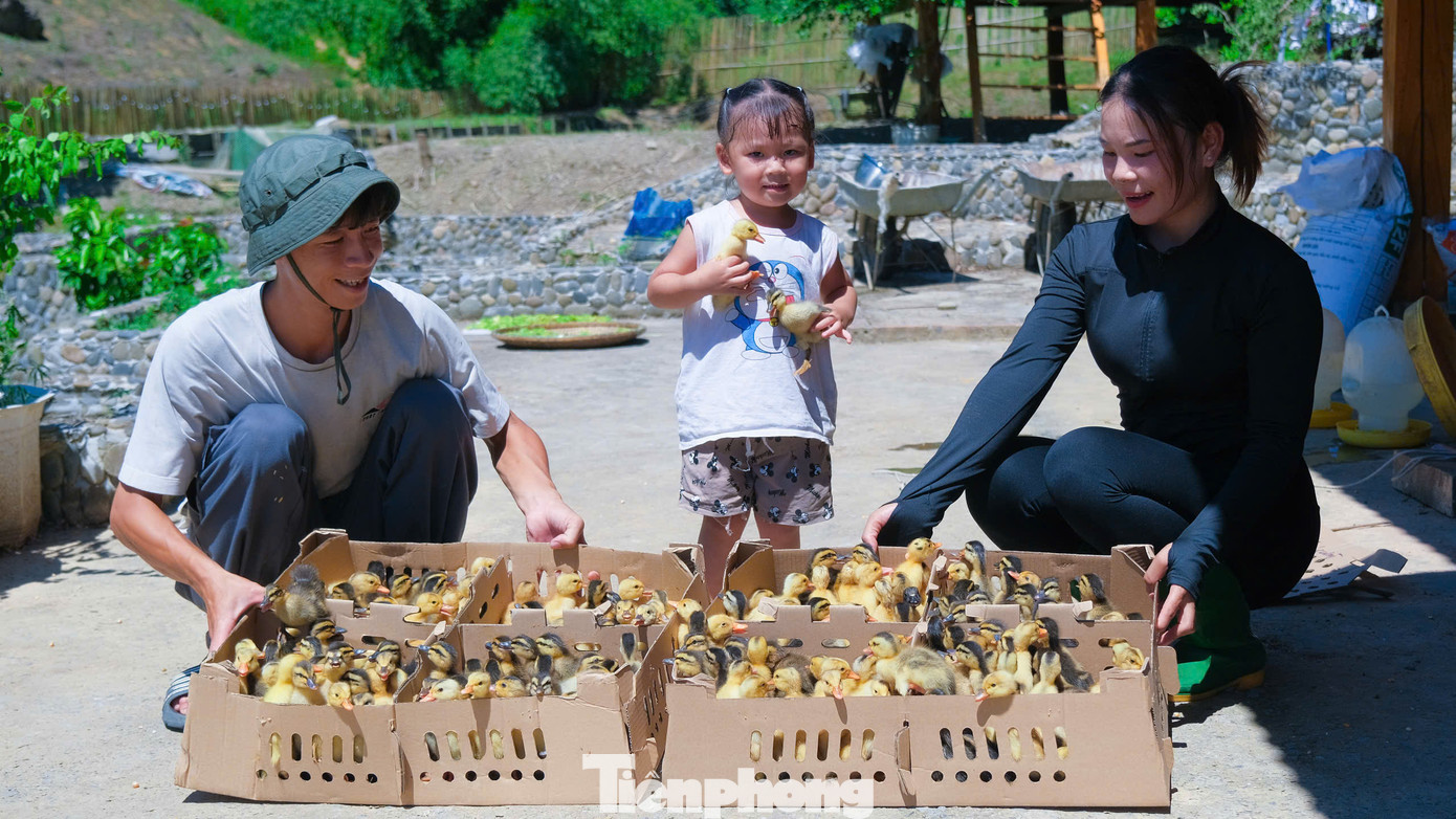 Mô hình kinh tế vườn, ao, chuồng của Hà Văn Sáng với quy mô trên 700 con gà, vịt; 20 con dê thịt, 1.000m2 ao nuôi cá các loại; hàng trăm gốc quýt ngọt; gần 3.000m2 vườn trồng các loại rau, củ, quả theo mùa.