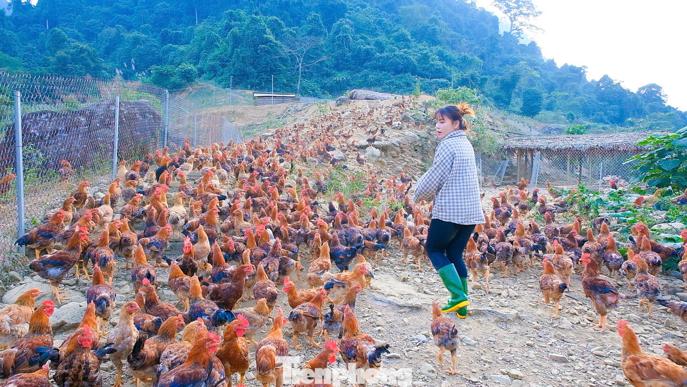 Cùng với đó, Sáng xây dựng 1 nhà sàn 60m2, 3 lán trại phục vụ ăn uống, dựng 6 cọn nước ven suối Nguồn để du khách check in, mở rộng diện tích trồng các loại rau, hoa quả và chuẩn bị điều kiện để đón những đoàn khách đến tham quan, trải nghiệm.