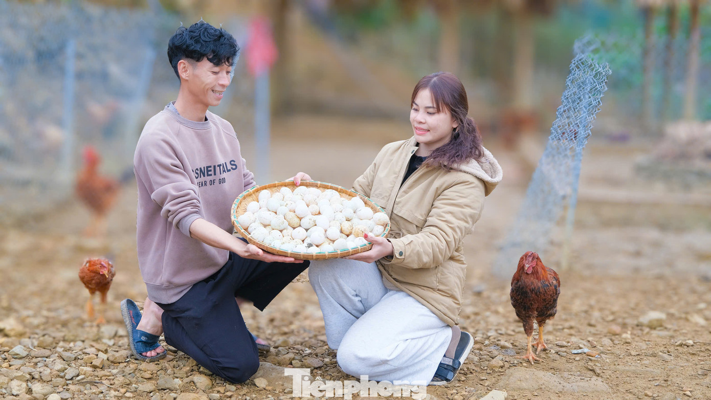 Mô hình kinh tế vườn, ao, chuồng của Hà Văn Sáng với quy mô trên 700 con gà, vịt; 20 con dê thịt, 1.000m2 ao nuôi cá các loại; hàng trăm gốc quýt ngọt; gần 3.000m2 vườn trồng các loại rau, củ, quả theo mùa.