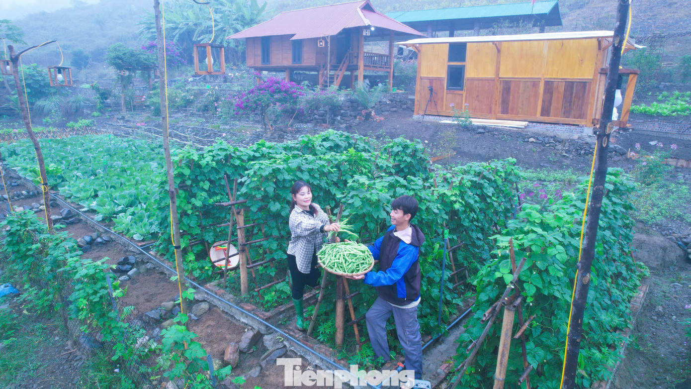 “Riêng YouTube đã đem lại cho tôi khoảng 20 triệu đồng/tháng. Bên cạnh đó, tôi cũng quảng bá, bán các sản phẩm nông nghiệp mình làm ra. Nhờ việc chuyển đổi số, bán hàng trên các trang mạng và trên các sàn thương mại điện tử, doanh thu của gia đình đạt khoảng 1 tỉ đồng/ năm”, Sáng cho hay.