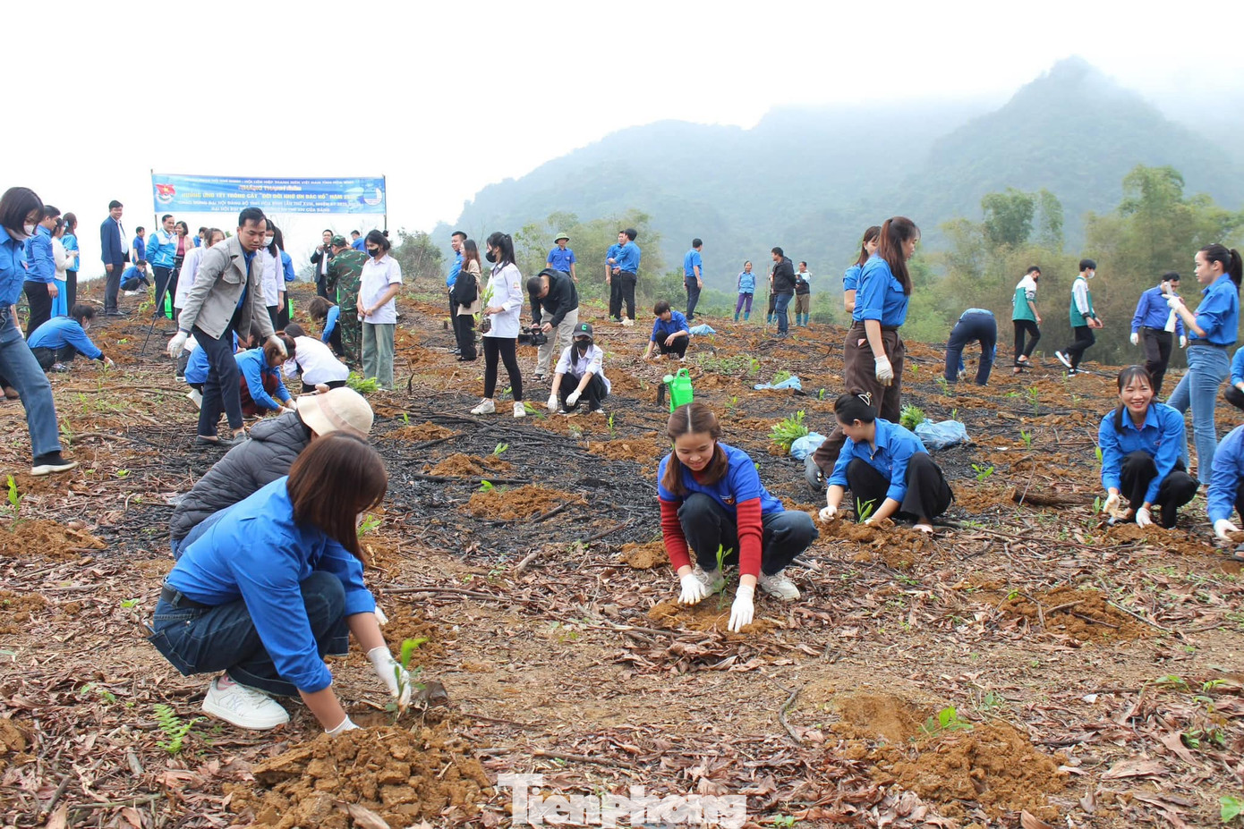 Đoàn viên thanh niên ra quân trồng cây xanh hưởng ứng Tháng Thanh niên 2025