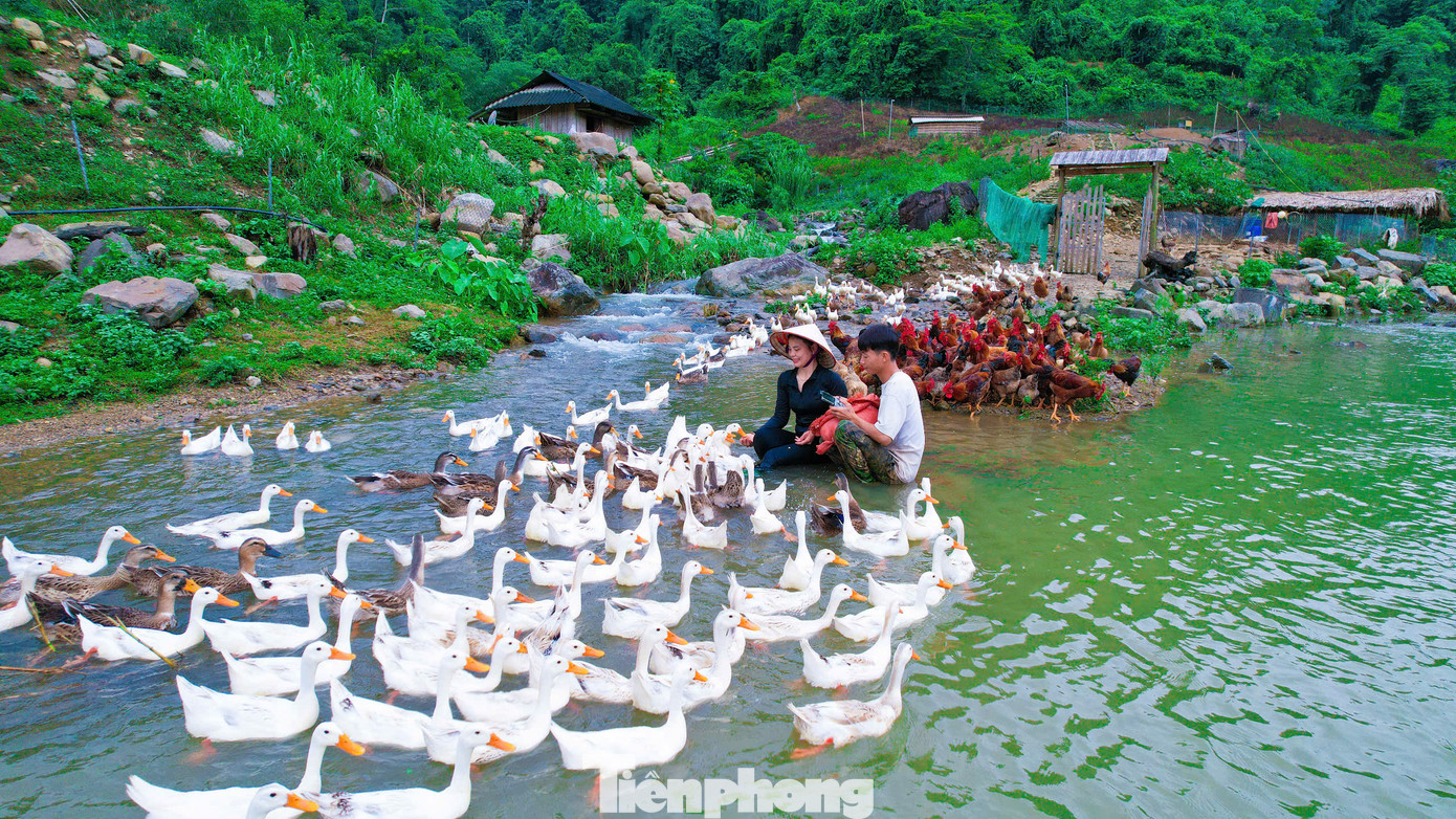 “Tôi sẽ phát triển mô hình nông nghiệp kết hợp với du lịch trải nghiệm. Khách đến thăm được trải nghiệm cuộc sống của người nông dân; được trồng, thu hoạch nông sản, câu cá giải trí”, Sáng cho biết.