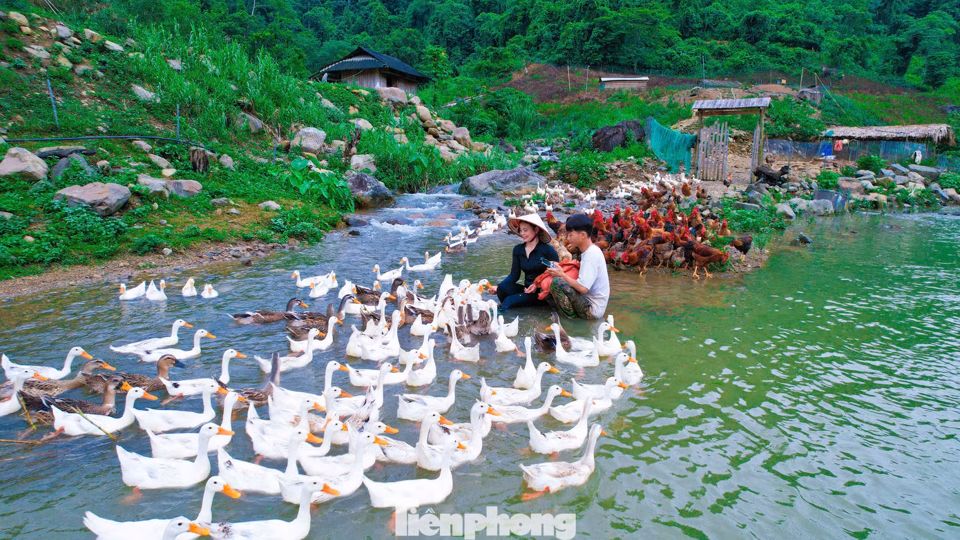 “Tôi sẽ phát triển mô hình nông nghiệp kết hợp với du lịch trải nghiệm. Khách đến thăm được trải nghiệm cuộc sống của người nông dân; được trồng, thu hoạch nông sản, câu cá giải trí”, Sáng cho biết.