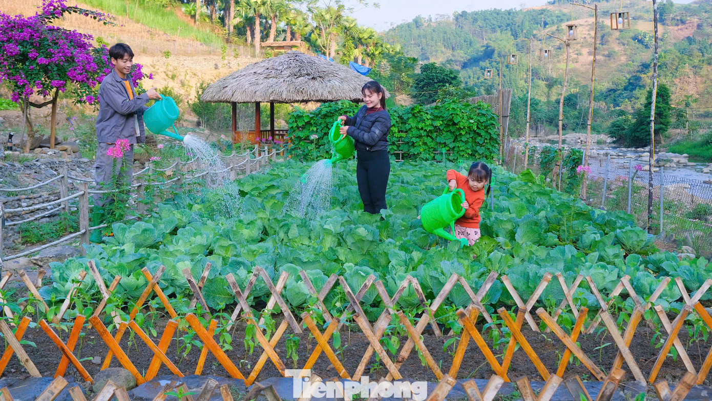 “Tôi luôn ấp ủ thực hiện công việc này từ lâu, để giúp gia đình thay đổi cuộc sống, lại vừa được gắn bó với quê hương. Vì vậy, trong thời gian làm công nhân ở Hưng Yên, cứ thời gian rảnh, tôi lại đến các vườn trồng rau an toàn và các trang trại chăn nuôi để học tập cách làm của họ. Sau thời gian tìm hiểu, tôi nhận thấy mô hình chuyển đổi số gắn với phát triển nông nghiệp có thể áp dụng thực hiện ở địa phương mình”, Sáng Tâm sự.