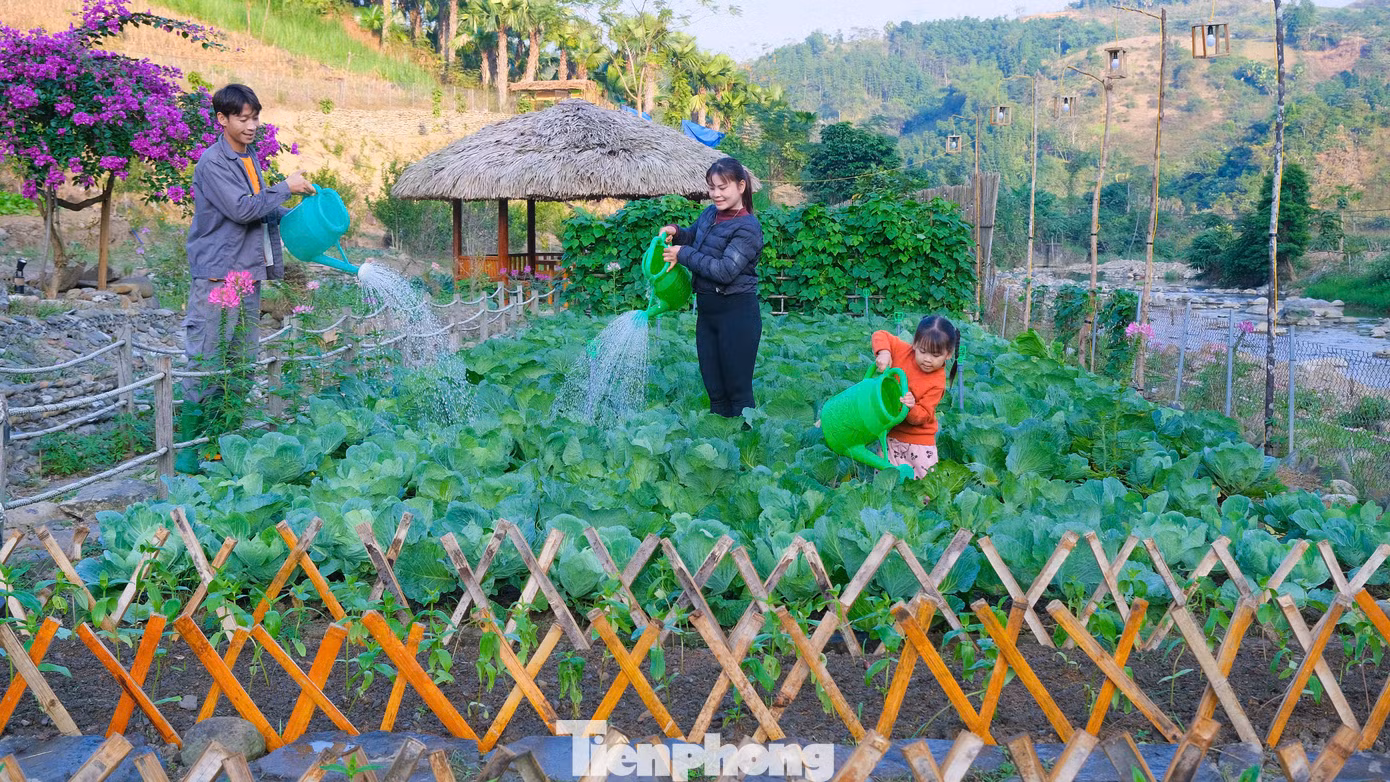 “Tôi luôn ấp ủ thực hiện công việc này từ lâu, để giúp gia đình thay đổi cuộc sống, lại vừa được gắn bó với quê hương. Vì vậy, trong thời gian làm công nhân ở Hưng Yên, cứ thời gian rảnh, tôi lại đến các vườn trồng rau an toàn và các trang trại chăn nuôi để học tập cách làm của họ. Sau thời gian tìm hiểu, tôi nhận thấy mô hình chuyển đổi số gắn với phát triển nông nghiệp có thể áp dụng thực hiện ở địa phương mình”, Sáng Tâm sự.