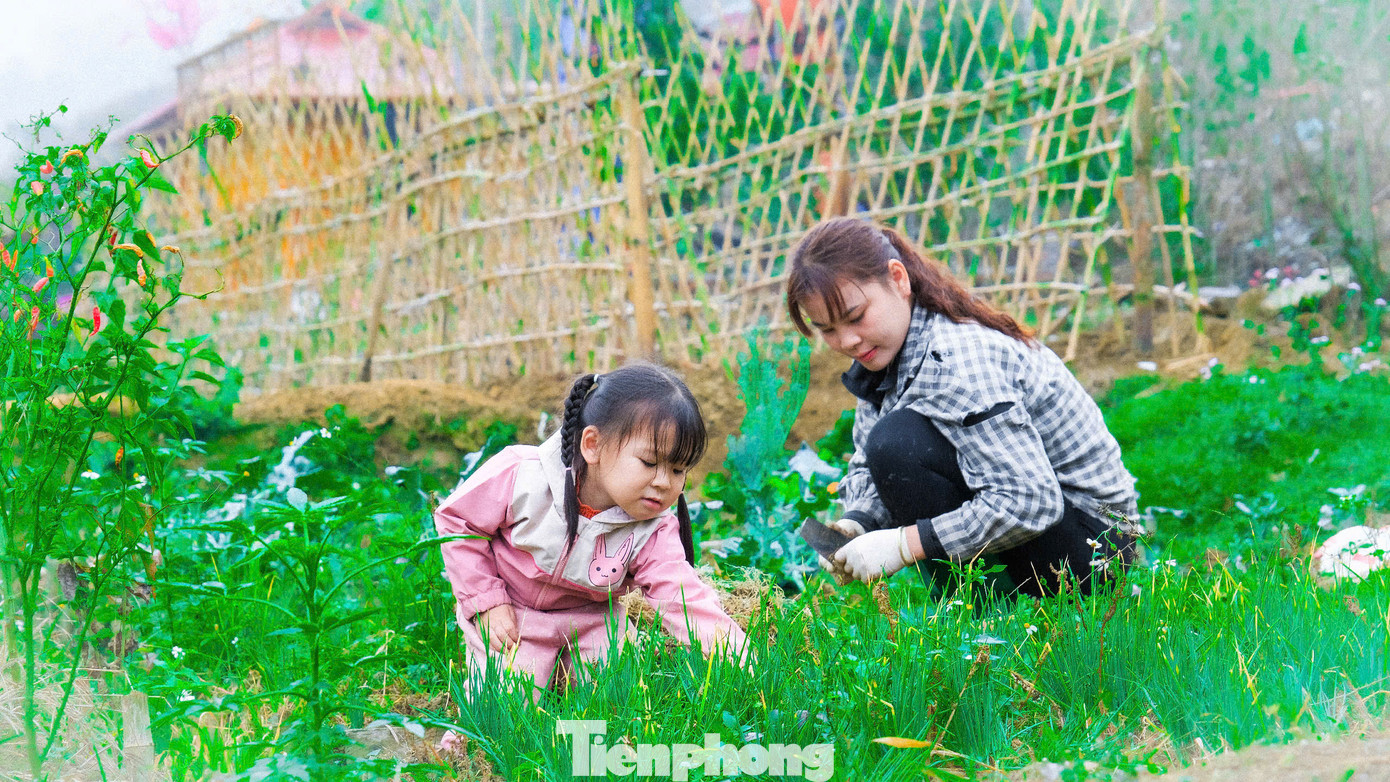 Các clip có cả phụ đề tiếng Anh để người nước ngoài có thể theo dõi. Nhờ biết cách tạo sự hấp dẫn, các video của Sáng sản xuất đã dần thu hút sự chú ý từ cộng đồng mạng, mỗi video đạt từ 4.000 - 5.000 lượt xem, có video đạt 30.000 lượt xem…