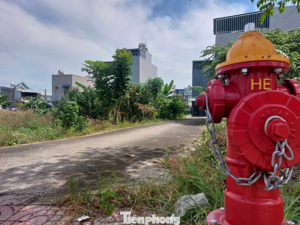 Theo lý giải của chủ đầu tư, Dự án Khu nhà ở Đất Mới ban đầu được phê duyệt là dự án khu nhà ở thu nhập thấp. Sau đó, công ty xin điều chỉnh lại thành dự án phân lô bán nền để thuận tiện cho việc chuyển nhượng quyền sử dụng đất cho khách hàng thay vì chuyển nhượng quyền sử dụng đất và tài sản gắn liền với đất.