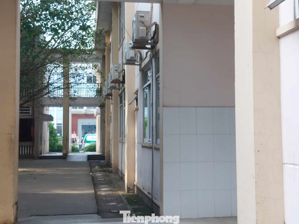 Trong bệnh viện, hầu hết các dãy nhà, khu điều trị... đều được trồng cây xanh.