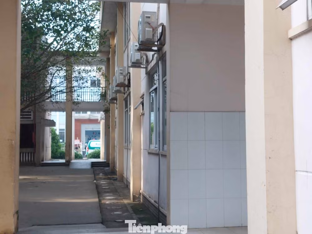 Trong bệnh viện, hầu hết các dãy nhà, khu điều trị... đều được trồng cây xanh.