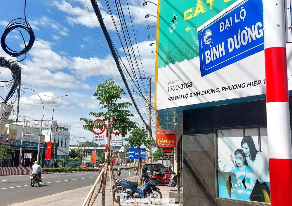 Quốc lộ 13 được tỉnh Bình Dương đặt tên gọi Đại Lộ Bình Dương.