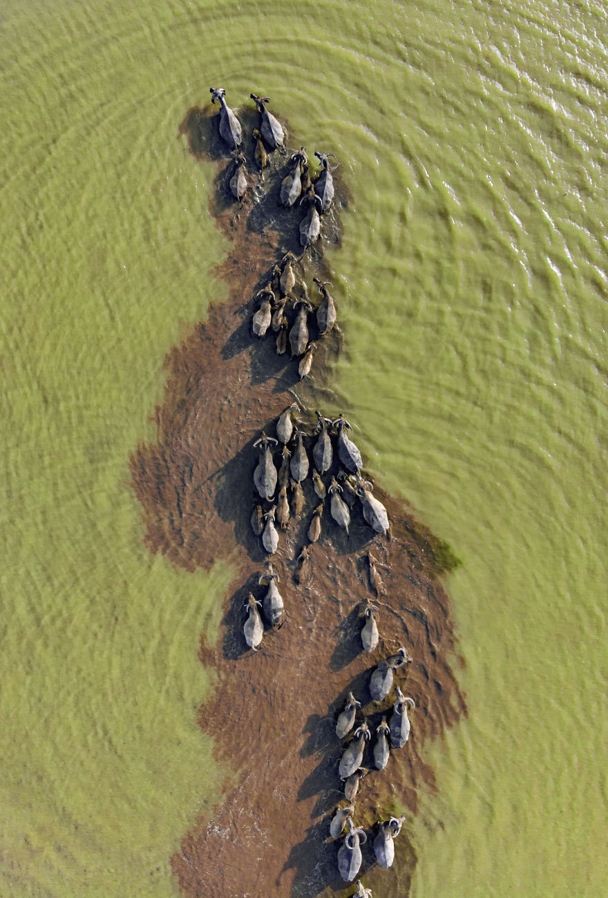 Việt Nam có 4 bức ảnh lọt top những khoảnh khắc ấn tượng nhất thế giới ảnh 3