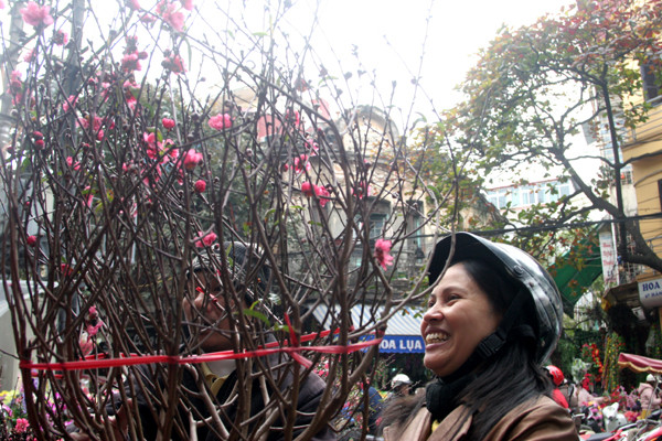 Niềm vui chọn được cành đào ưng ý
