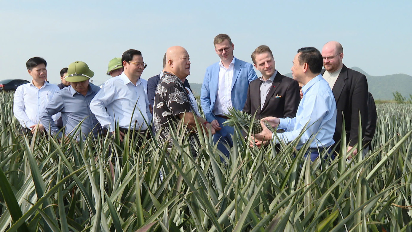 Đoàn đại biểu đến thăm Nông trường Đồng Giao, Tam Điệp, Ninh Bình. Ảnh: N.L. Đoàn đại biểu đến thăm Nông trường Đồng Giao, Tam Điệp, Ninh Bình. Ảnh: N.L.