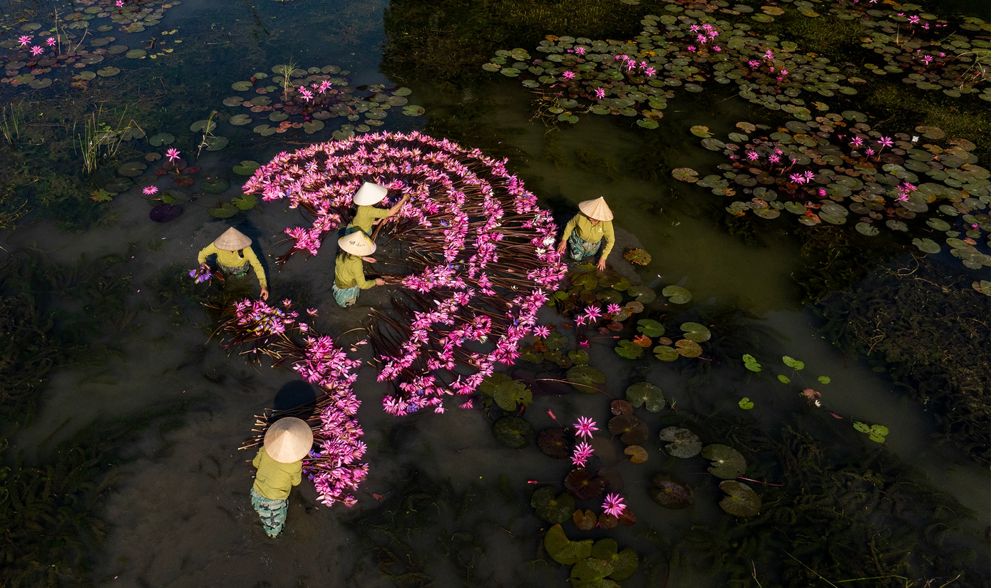 Người dân đắm chìm với vẻ đẹp của hoa súng. Ảnh: Tường Huy.