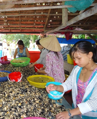 Săn “quái vật” của mùa màng xuất sang Trung Quốc ảnh 2