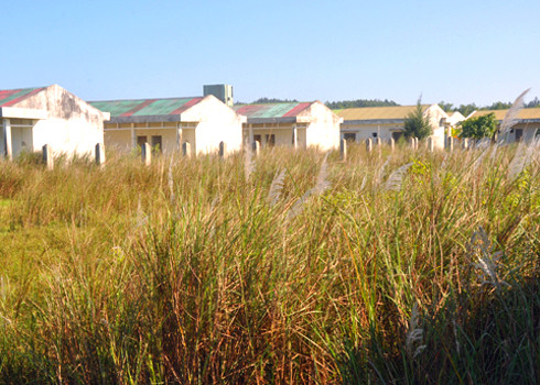 Khu dịch vụ nhà ở cho cán bộ, công nhân viên nhà máy đóng tàu Dung Quất bị bỏ hoang, cỏ lau cao vút che lấp xung quanh