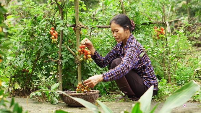 Khung cảnh bình dị ở làng quê và cuộc sống bình dị của người mẹ tần tảo, lam lũ được tái hiện qua những thước phim chạm tới cảm xúc của người xem (Ảnh: Ẩm thực mẹ làm).