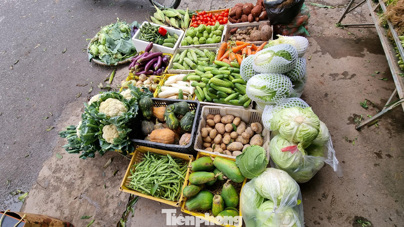 Một số loại rau củ cũng tăng giá, như cà rốt từ 15.000 đồng lên 20.000 đồng/kg; cà chua tăng 10.000 đồng lên 30.000 đồng/kg; su su từ 12.000 lên 15.000 đồng/kg; khoai tây 15.000 đồng tăng lên 20.000 đồng/kg. Một số loại rau củ cũng tăng giá, như cà rốt từ 15.000 đồng lên 20.000 đồng/kg; cà chua tăng 10.000 đồng lên 30.000 đồng/kg; su su từ 12.000 lên 15.000 đồng/kg; khoai tây 15.000 đồng tăng lên 20.000 đồng/kg.