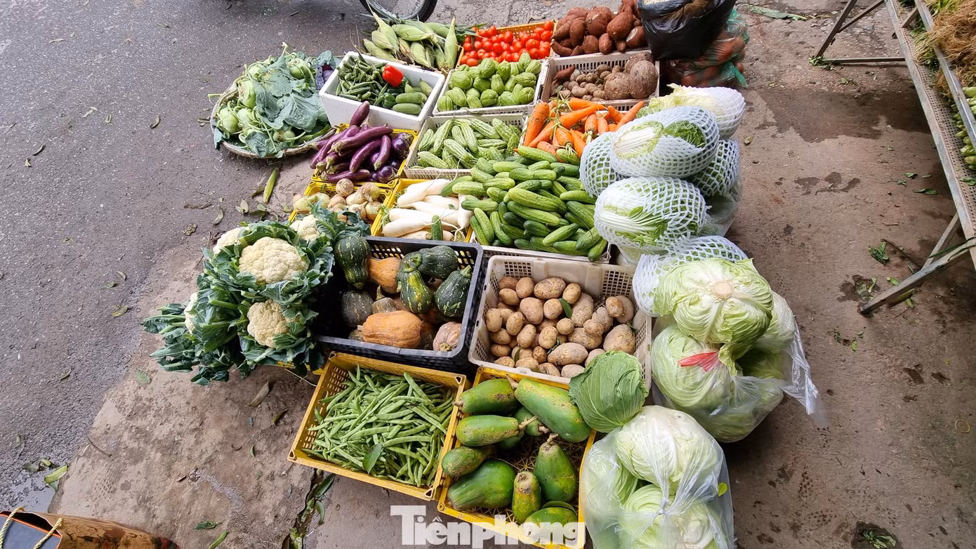 Một số loại rau củ cũng tăng giá, như cà rốt từ 15.000 đồng lên 20.000 đồng/kg; cà chua tăng 10.000 đồng lên 30.000 đồng/kg; su su từ 12.000 lên 15.000 đồng/kg; khoai tây 15.000 đồng tăng lên 20.000 đồng/kg. Một số loại rau củ cũng tăng giá, như cà rốt từ 15.000 đồng lên 20.000 đồng/kg; cà chua tăng 10.000 đồng lên 30.000 đồng/kg; su su từ 12.000 lên 15.000 đồng/kg; khoai tây 15.000 đồng tăng lên 20.000 đồng/kg.