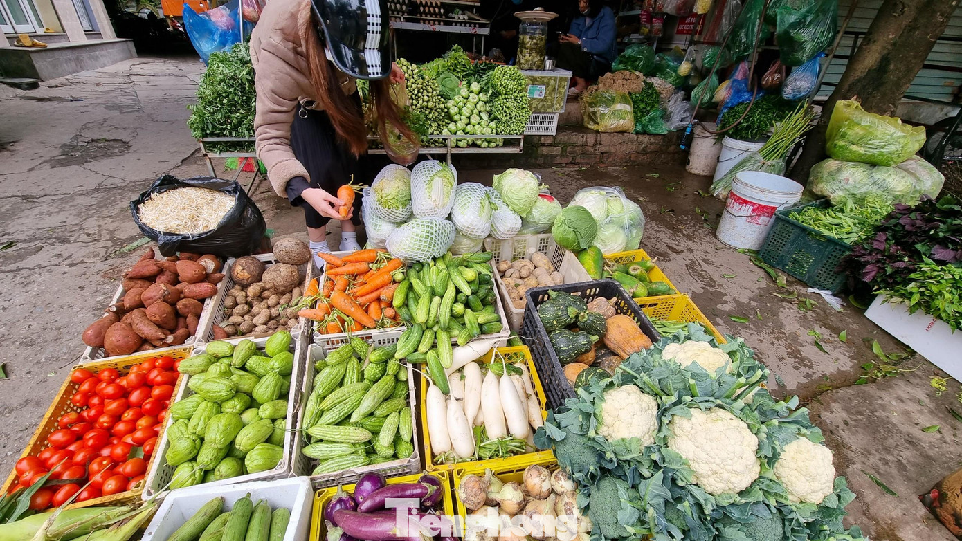 Giá các loại rau xanh tại chợ Triều Khúc (Hà Đông) đang tăng khá mạnh Giá các loại rau xanh tại chợ Triều Khúc (Hà Đông) đang tăng khá mạnh