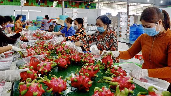 Các doanh nghiệp cần đa dạng hình thức chế biến sản phẩm, quảng bá hình ảnh thương hiệu
