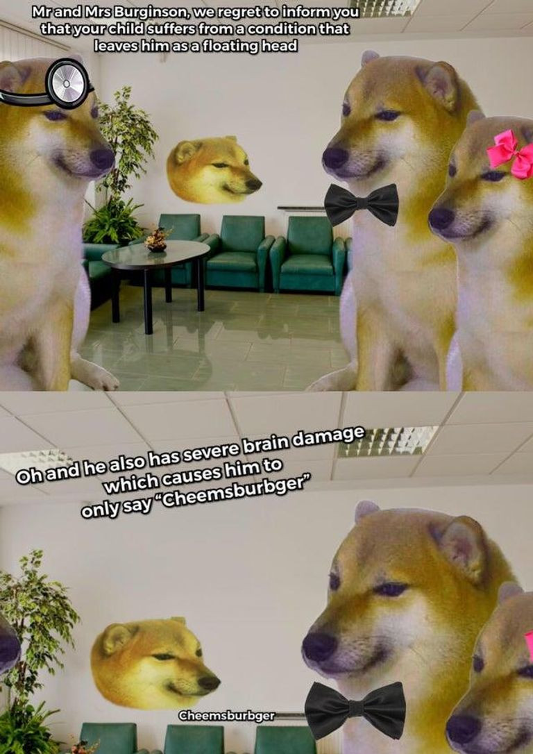 Balltze trở thành nguồn cảm hứng bất tận của cộng đồng mạng.