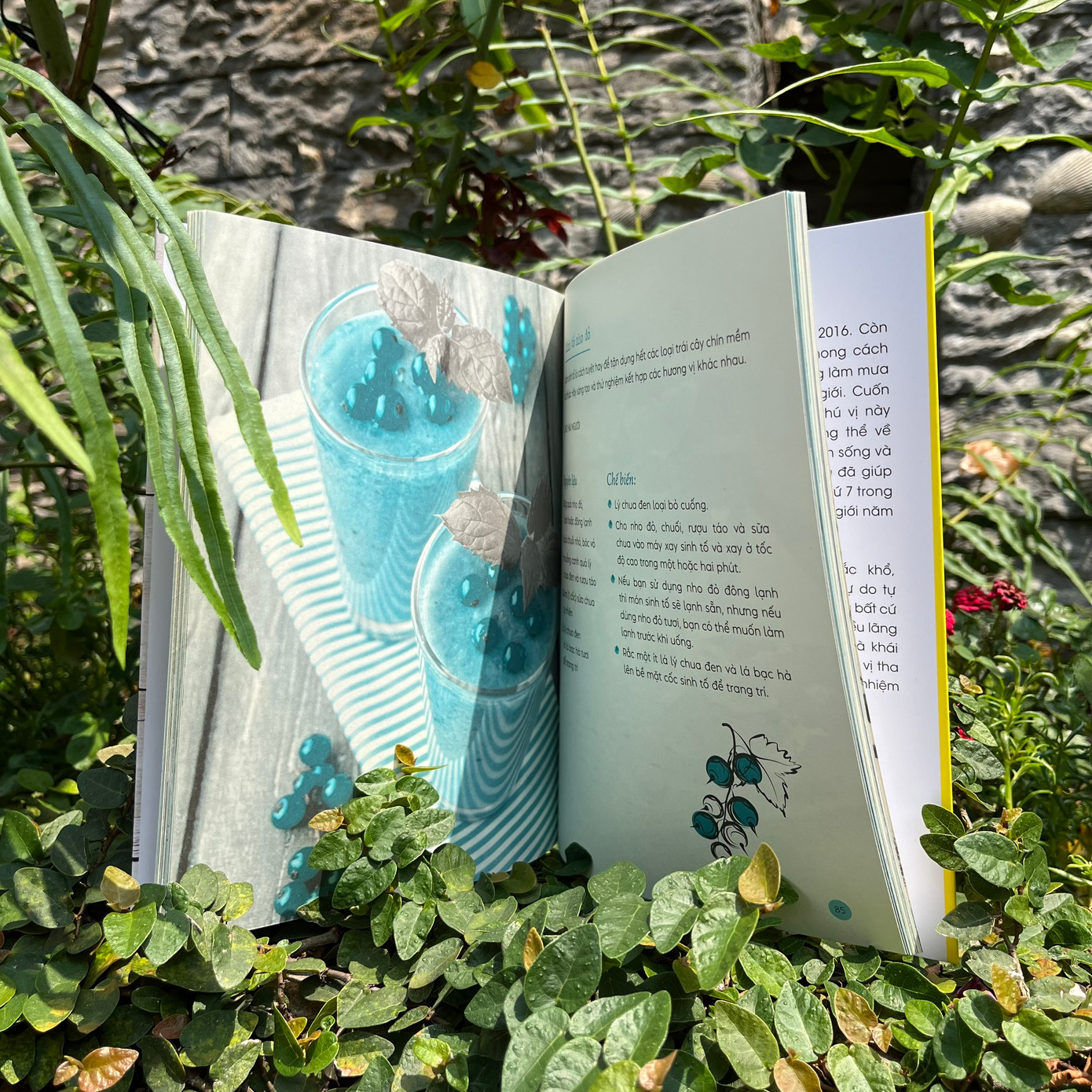 Nhiều công thức nấu ăn thú vị cũng được đề cập trong cuốn sách nhỏ xinh này. Nhiều công thức nấu ăn thú vị cũng được đề cập trong cuốn sách nhỏ xinh này.