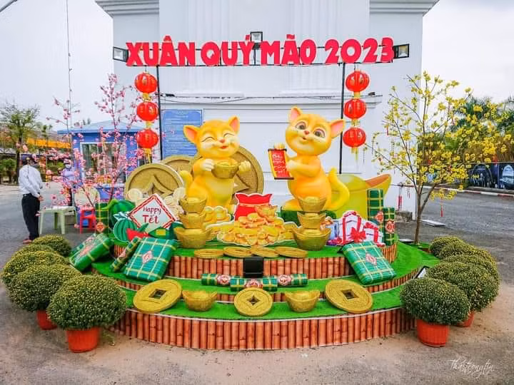 Mèo Cà Mau là một ứng cử viên sáng giá với phong cách nhí nhảnh cá cảnh. Mèo Cà Mau là một ứng cử viên sáng giá với phong cách nhí nhảnh cá cảnh.