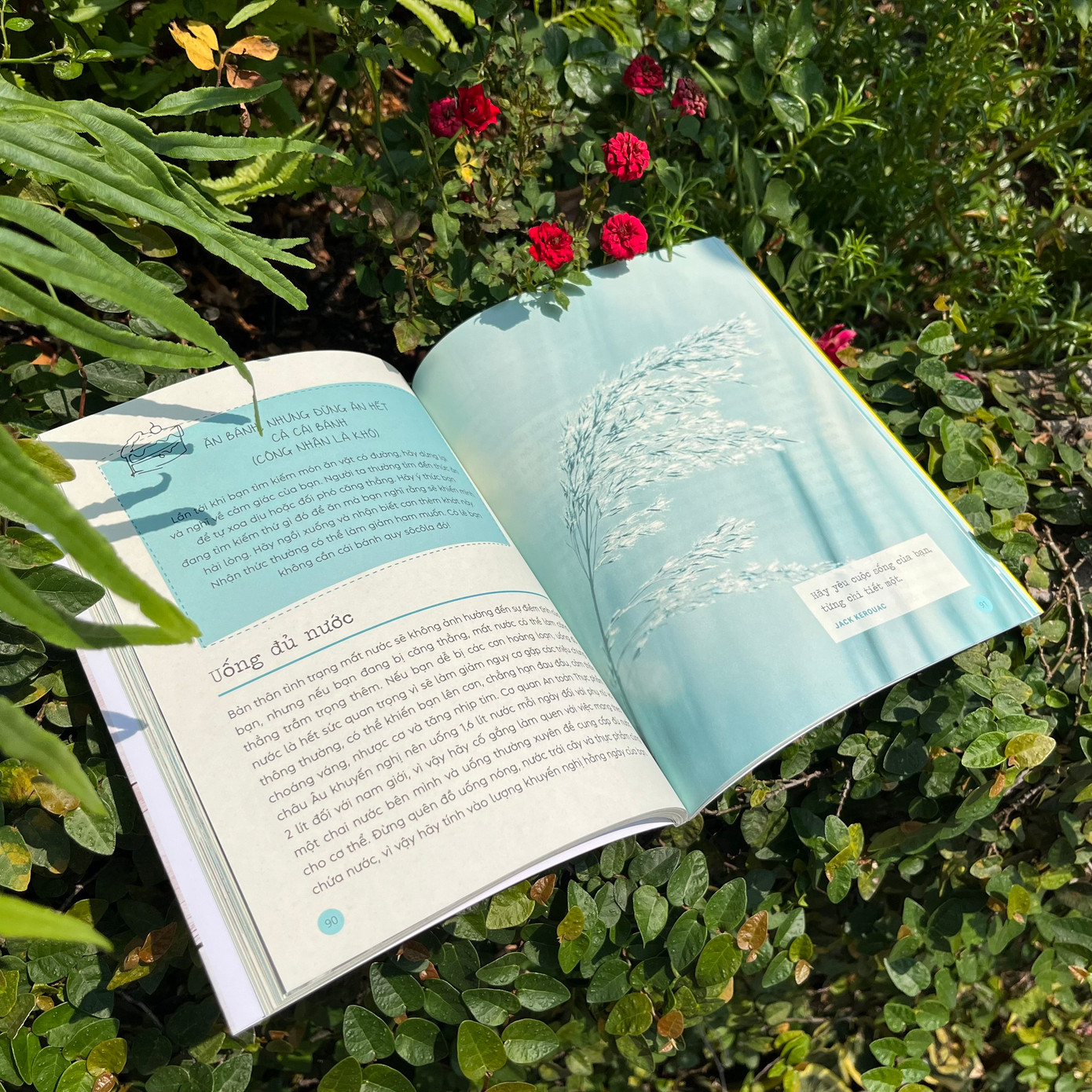 Đặc biệt, "uống đủ nước" cũng là một cách để cuộc sống của chúng ta tinh tế và cân bằng hơn. Đặc biệt, "uống đủ nước" cũng là một cách để cuộc sống của chúng ta tinh tế và cân bằng hơn.