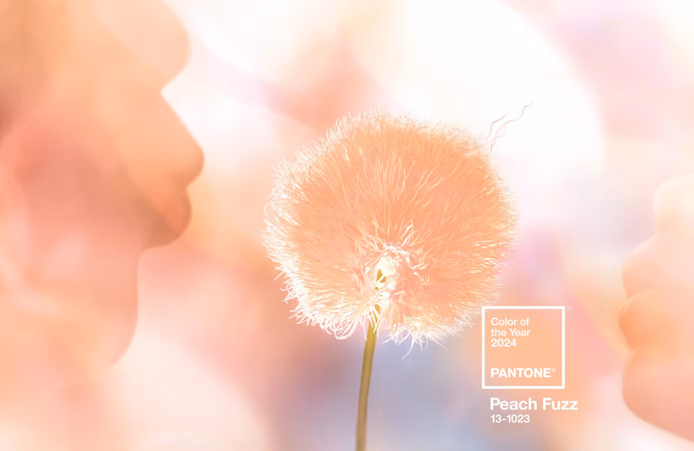 Theo lý giải của Pantone, màu sắc năm 2024 hướng đến việc chăm sóc bản thân và kết nối, trong khi năm 2023 là màu sắc của sự phát triển, mãnh liệt tiến về phía trước.