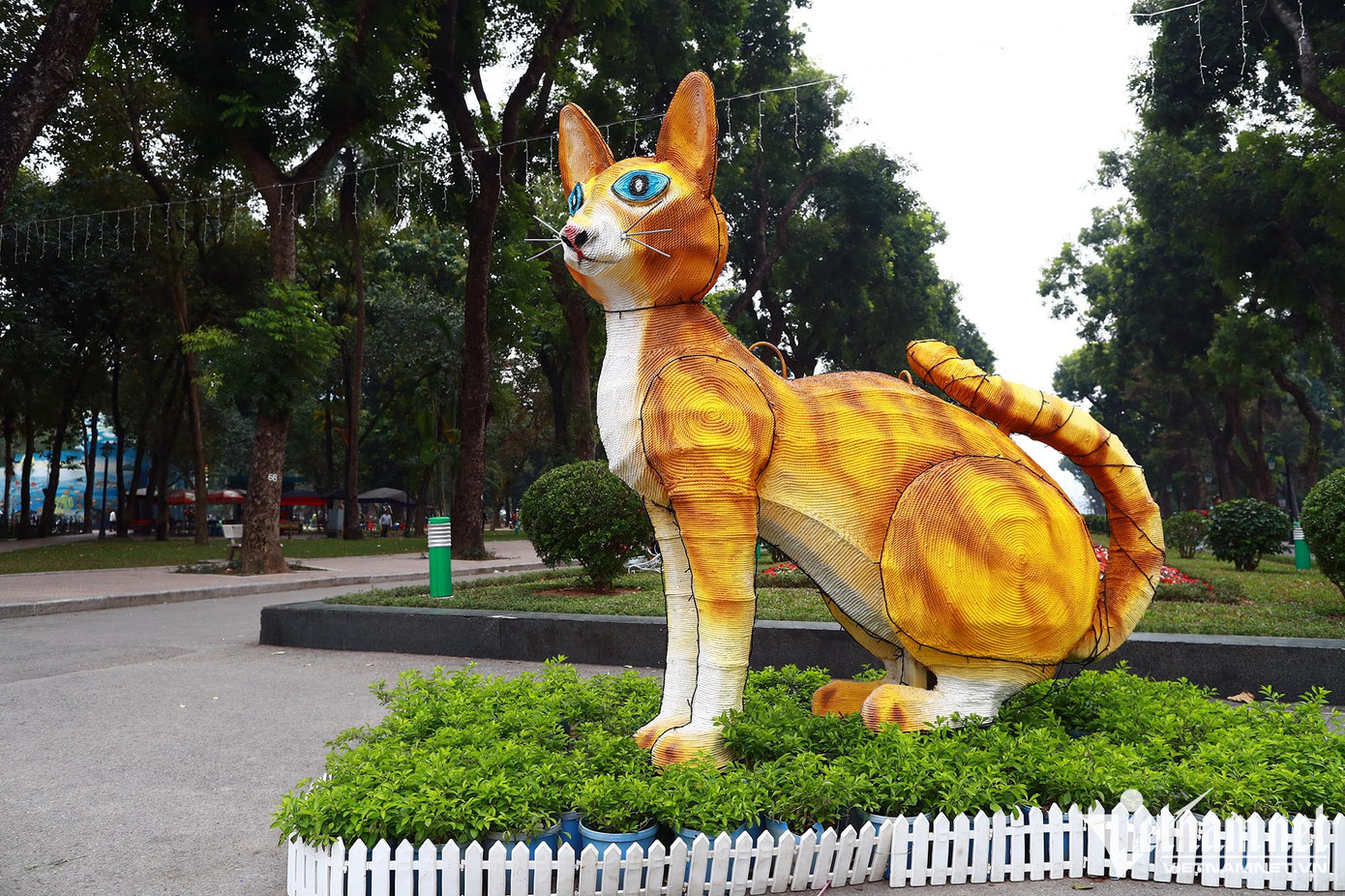 Chú mèo giống “cáo” nhất năm hẳn là mèo ở công viên Thống Nhất (Hà Nội). Chú mèo giống “cáo” nhất năm hẳn là mèo ở công viên Thống Nhất (Hà Nội).