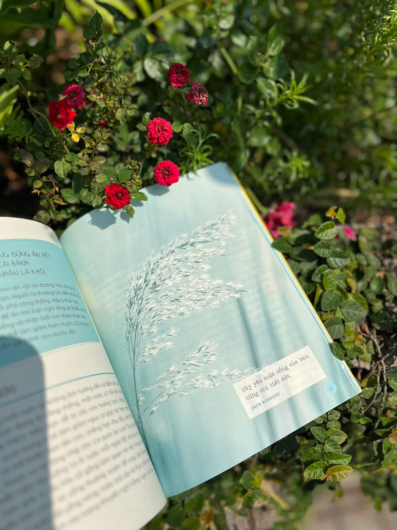 Điều thú vị của lối sống này là bạn hoàn toàn có thể thực hiện theo trong từng khoảnh khắc nhỏ của cuộc sống. Điều thú vị của lối sống này là bạn hoàn toàn có thể thực hiện theo trong từng khoảnh khắc nhỏ của cuộc sống.