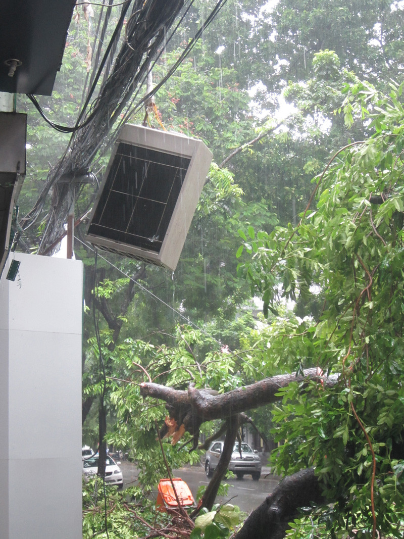 Cành cây đổ vào nhà số 264 làm rơi điều hòa