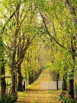 Đăng bức ảnh trên Facebook với dòng tâm trạng: 