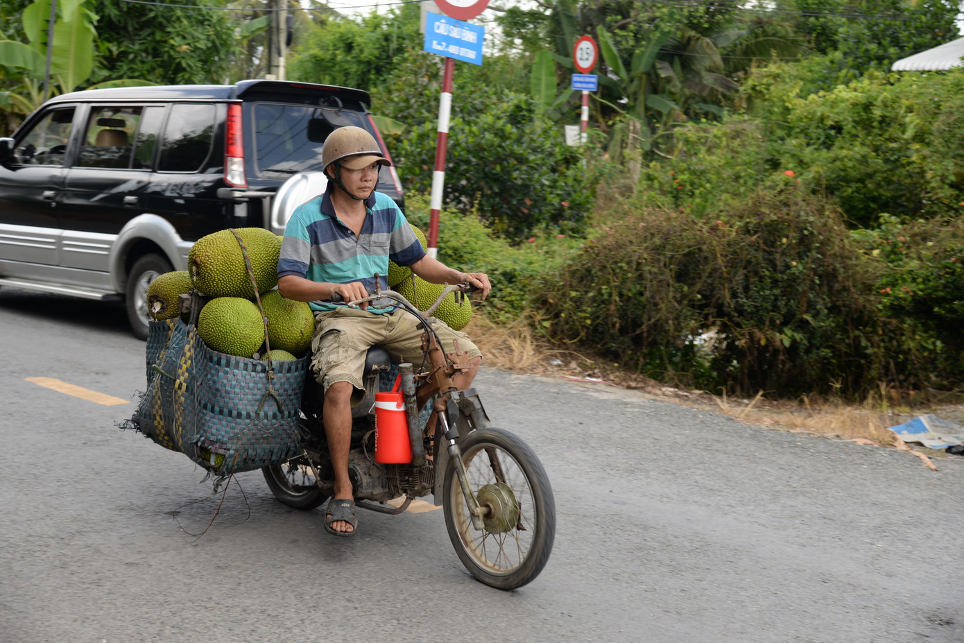 Nhiều thương lái ngừng thu mua vì sợ lỗ do mít quá rẻ mà tiêu thụ lại khó khăn. Nhiều thương lái ngừng thu mua vì sợ lỗ do mít quá rẻ mà tiêu thụ lại khó khăn.