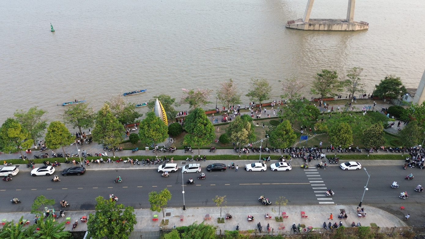 Rất đông người dân đến thưởng lãm và chụp ảnh tại hàng hoa kèn hồng.