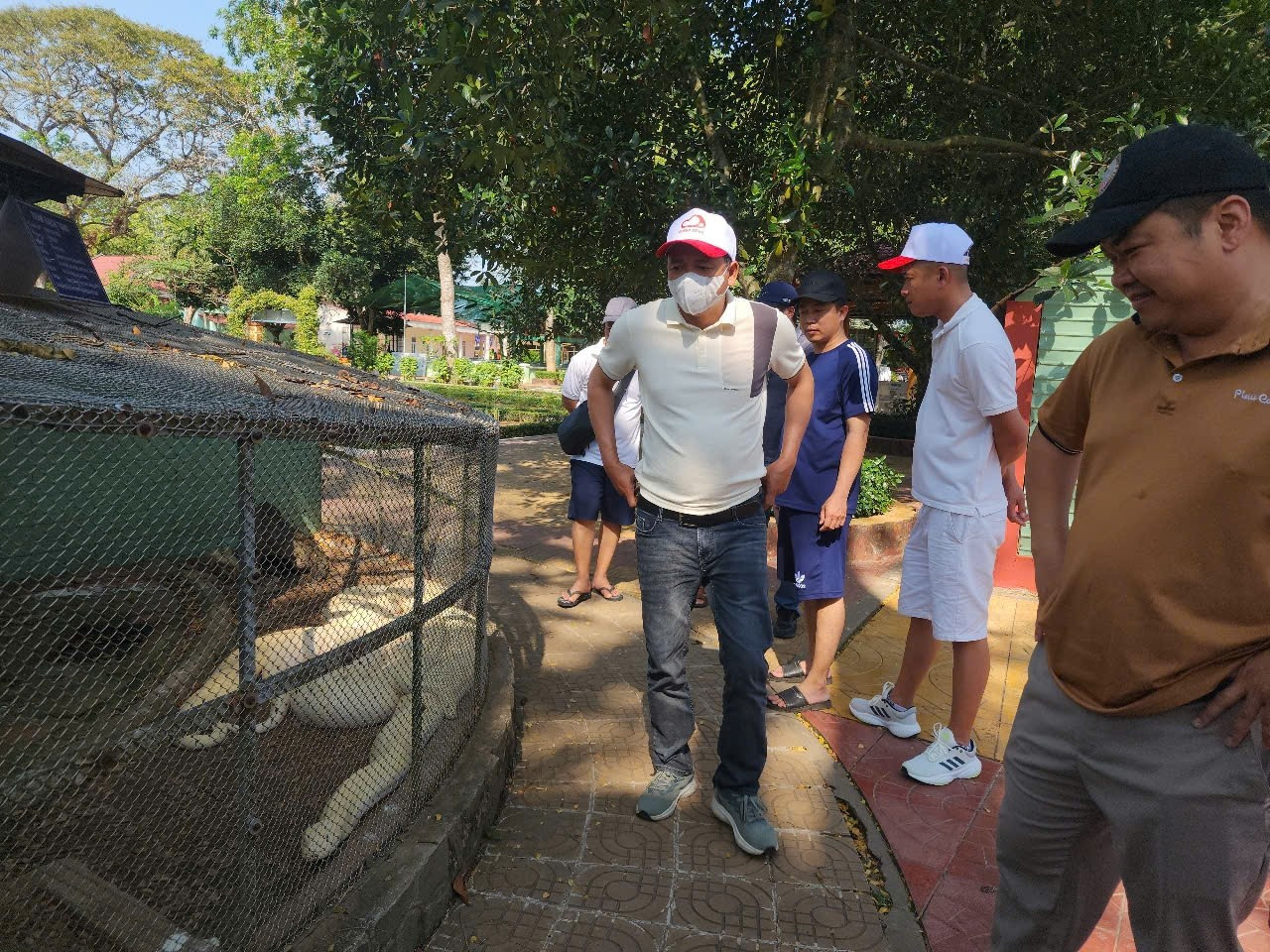 Mỗi ngày, cá thể trăn bạch tạng này ăn từ 10-15kg thức ăn. Mỗi ngày, cá thể trăn bạch tạng này ăn từ 10-15kg thức ăn.