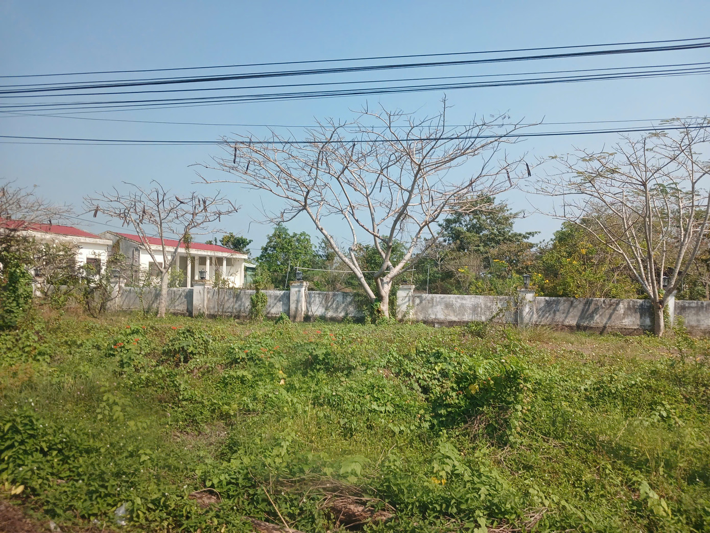 Công viên nghĩa trang nhân dân Mỹ Phước Tây bị bỏ hoang.