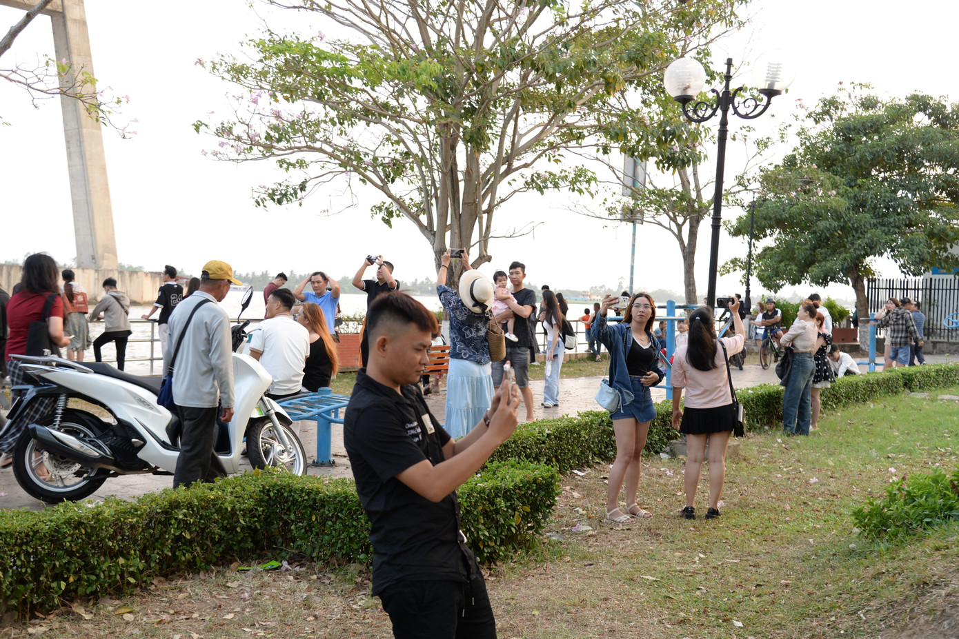 Nhiều bạn trẻ checkin tại hàng hoa kèn hồng.