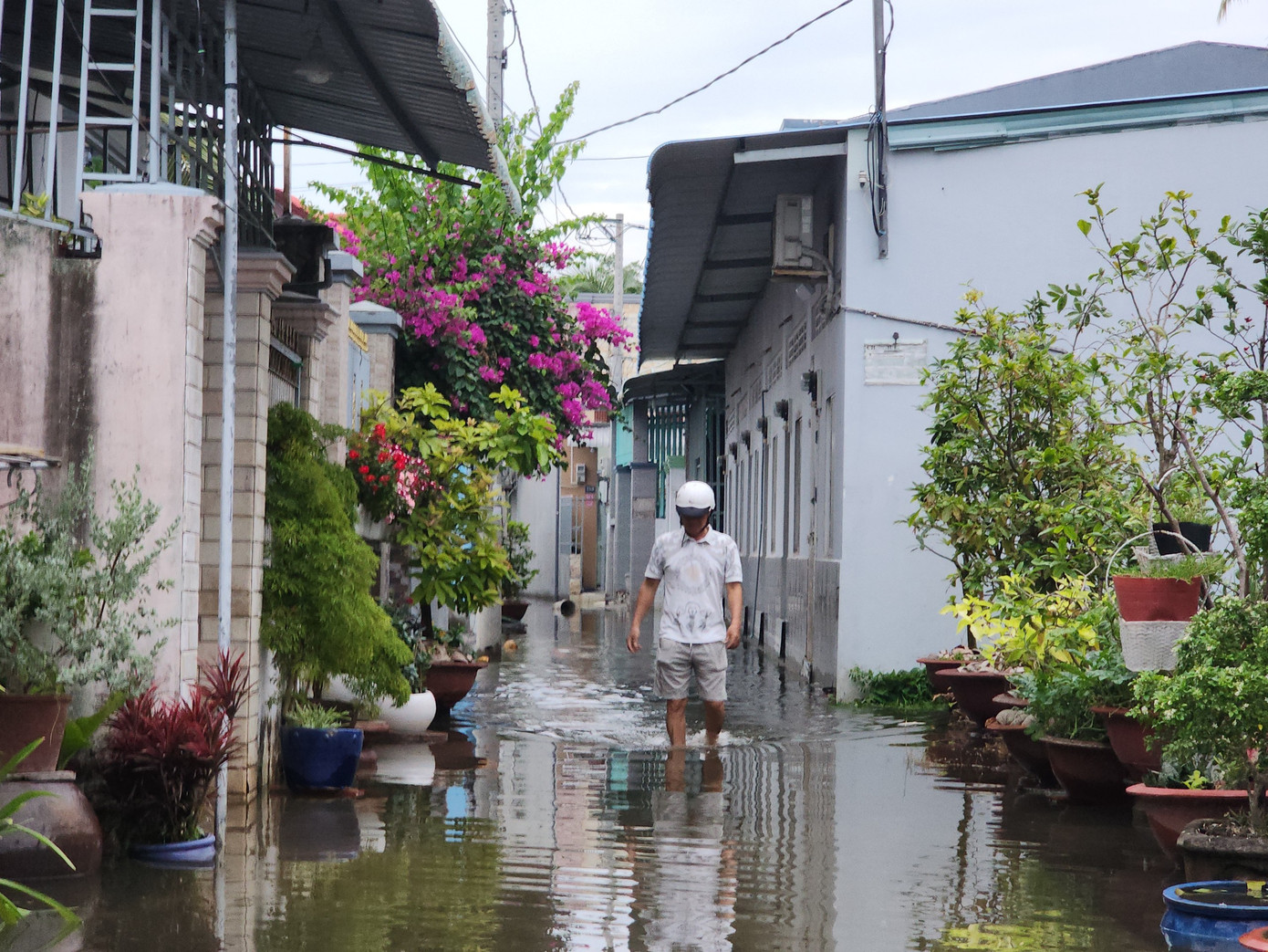 Các hẻm tại phường 10 bị ngập sâu, người dân phải lội bộ ra đường lớn. Các hẻm tại phường 10 bị ngập sâu, người dân phải lội bộ ra đường lớn.